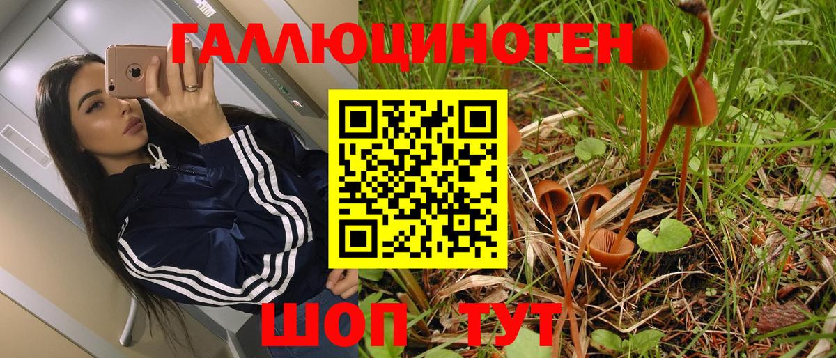 магазин продажи наркотиков  Вход с VPN  Муром  Псилоцибиновые грибы мухоморы 